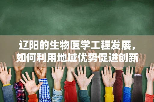 辽阳的生物医学工程发展，如何利用地域优势促进创新？