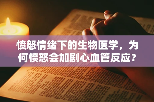 愤怒情绪下的生物医学，为何愤怒会加剧心血管反应？
