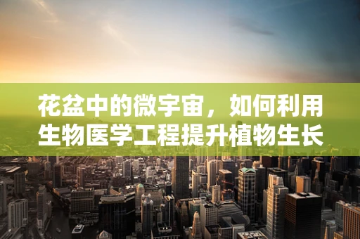 花盆中的微宇宙，如何利用生物医学工程提升植物生长？