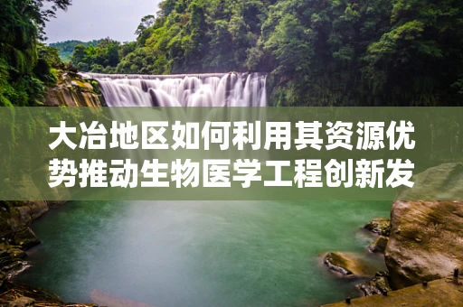 大冶地区如何利用其资源优势推动生物医学工程创新发展？
