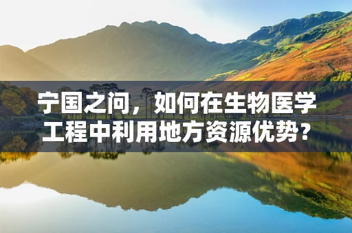 宁国之问，如何在生物医学工程中利用地方资源优势？
