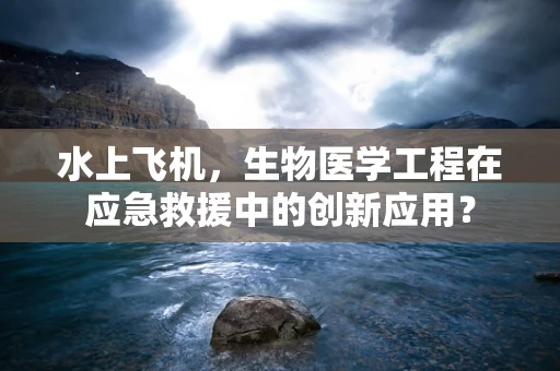 水上飞机，生物医学工程在应急救援中的创新应用？