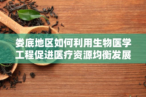 娄底地区如何利用生物医学工程促进医疗资源均衡发展？