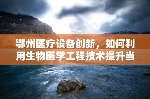 鄂州医疗设备创新，如何利用生物医学工程技术提升当地医疗服务？