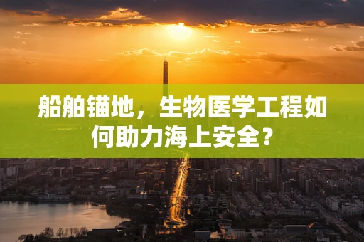 船舶锚地，生物医学工程如何助力海上安全？