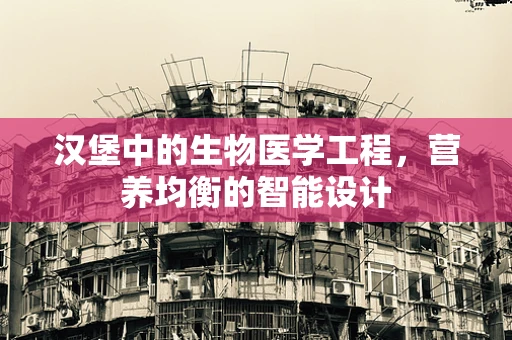 汉堡中的生物医学工程，营养均衡的智能设计