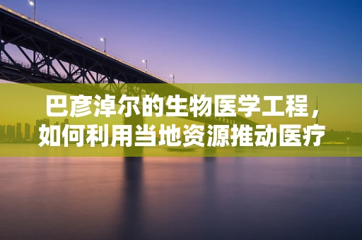 巴彦淖尔的生物医学工程，如何利用当地资源推动医疗技术发展？
