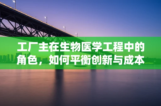 工厂主在生物医学工程中的角色，如何平衡创新与成本控制？