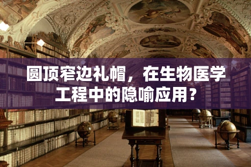 圆顶窄边礼帽，在生物医学工程中的隐喻应用？