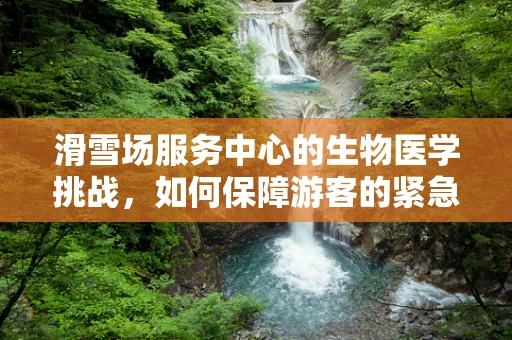 滑雪场服务中心的生物医学挑战，如何保障游客的紧急医疗需求？