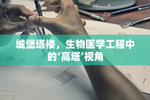 城堡塔楼，生物医学工程中的‘高塔’视角