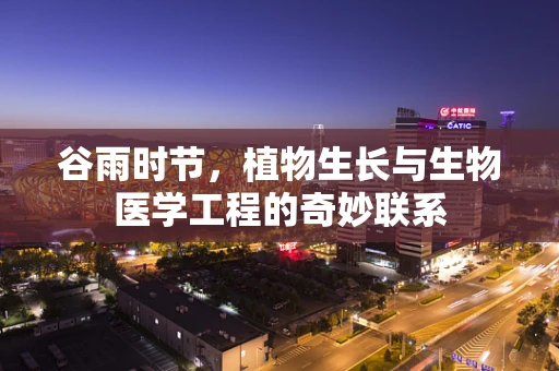 谷雨时节，植物生长与生物医学工程的奇妙联系