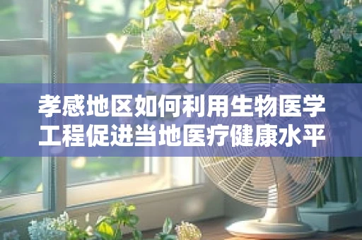 孝感地区如何利用生物医学工程促进当地医疗健康水平提升？