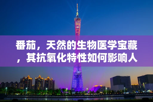 番茄，天然的生物医学宝藏，其抗氧化特性如何影响人体健康？