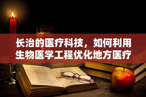 长治的医疗科技，如何利用生物医学工程优化地方医疗资源分配？