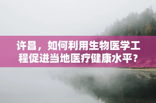 许昌，如何利用生物医学工程促进当地医疗健康水平？