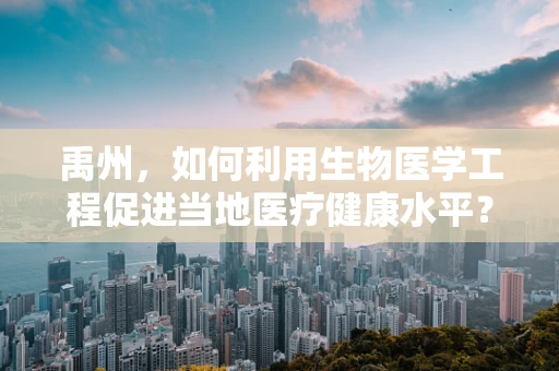 禹州，如何利用生物医学工程促进当地医疗健康水平？