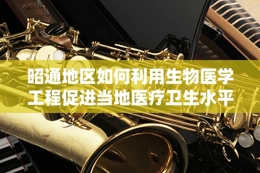 昭通地区如何利用生物医学工程促进当地医疗卫生水平提升？