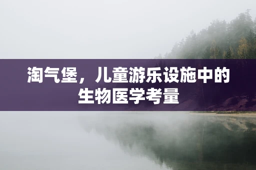淘气堡，儿童游乐设施中的生物医学考量