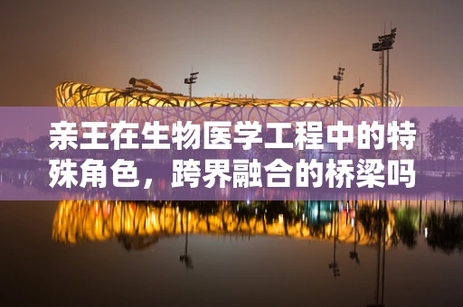 亲王在生物医学工程中的特殊角色，跨界融合的桥梁吗？