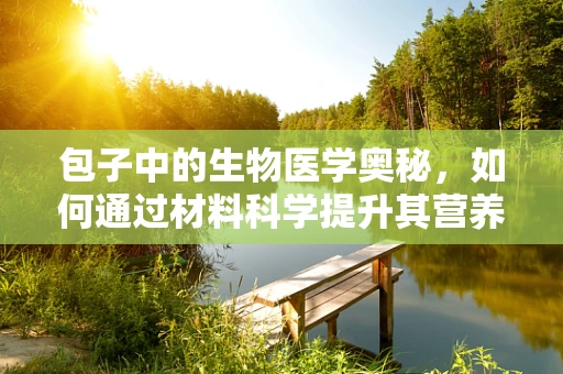 包子中的生物医学奥秘，如何通过材料科学提升其营养传递效率？