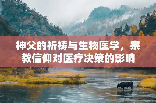 神父的祈祷与生物医学，宗教信仰对医疗决策的影响