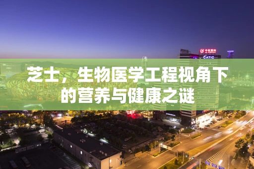 芝士，生物医学工程视角下的营养与健康之谜