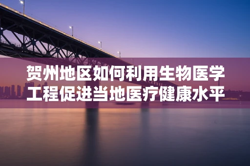 贺州地区如何利用生物医学工程促进当地医疗健康水平提升？