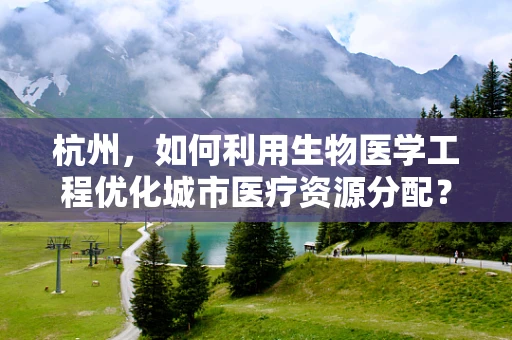 杭州，如何利用生物医学工程优化城市医疗资源分配？