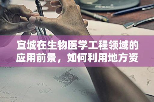 宣城在生物医学工程领域的应用前景，如何利用地方资源推动创新发展？