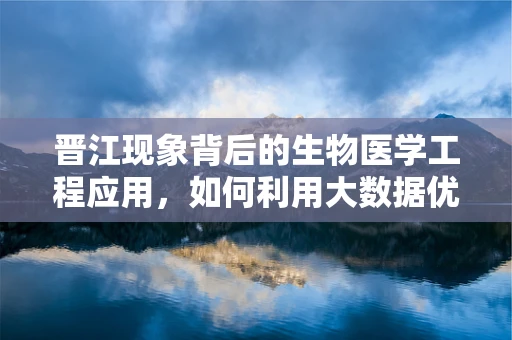 晋江现象背后的生物医学工程应用，如何利用大数据优化医疗资源分配？