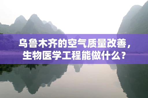 乌鲁木齐的空气质量改善，生物医学工程能做什么？