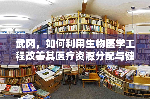 武冈，如何利用生物医学工程改善其医疗资源分配与健康管理？