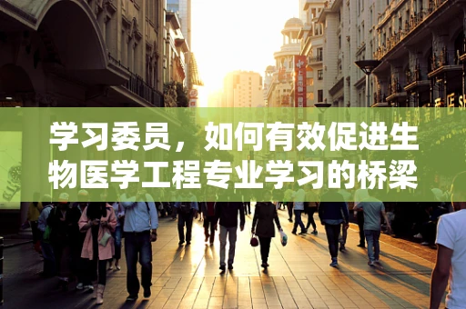 学习委员，如何有效促进生物医学工程专业学习的桥梁？