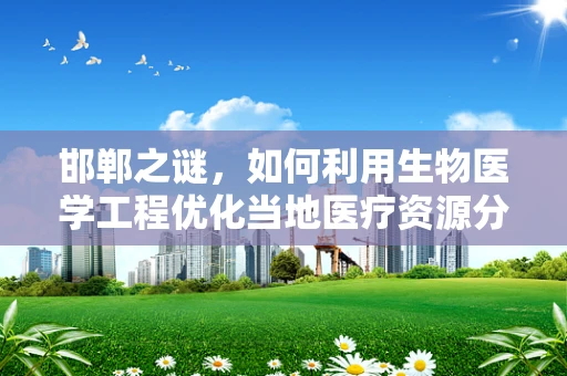 邯郸之谜，如何利用生物医学工程优化当地医疗资源分配？