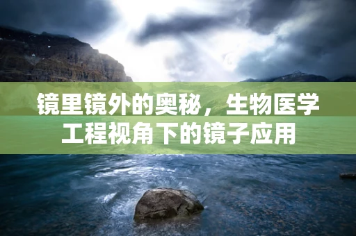 镜里镜外的奥秘，生物医学工程视角下的镜子应用