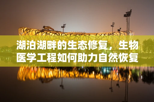 湖泊湖畔的生态修复，生物医学工程如何助力自然恢复？