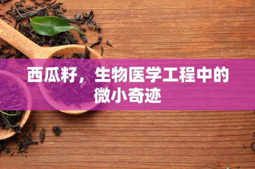 西瓜籽，生物医学工程中的微小奇迹