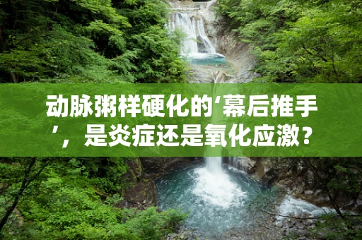 动脉粥样硬化的‘幕后推手’，是炎症还是氧化应激？