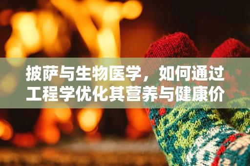 披萨与生物医学，如何通过工程学优化其营养与健康价值？