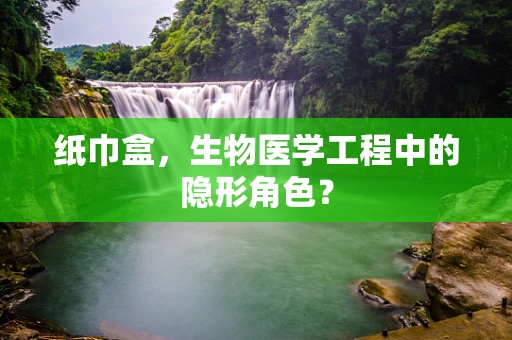 纸巾盒，生物医学工程中的隐形角色？