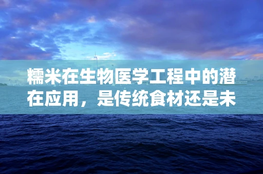 糯米在生物医学工程中的潜在应用，是传统食材还是未来医疗的‘新星’？