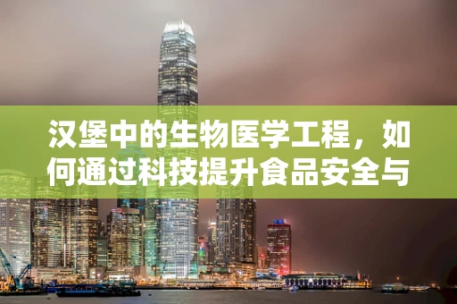 汉堡中的生物医学工程，如何通过科技提升食品安全与营养？
