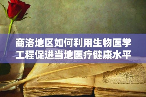 商洛地区如何利用生物医学工程促进当地医疗健康水平提升？