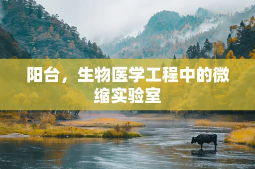 阳台，生物医学工程中的微缩实验室