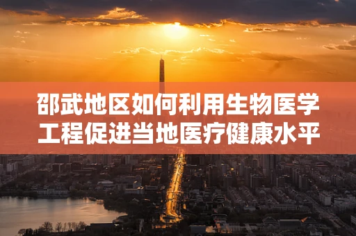 邵武地区如何利用生物医学工程促进当地医疗健康水平提升？