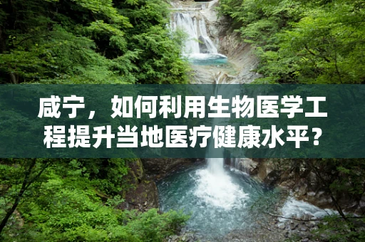 咸宁，如何利用生物医学工程提升当地医疗健康水平？