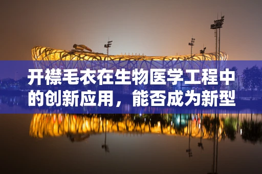 开襟毛衣在生物医学工程中的创新应用，能否成为新型智能穿戴设备？