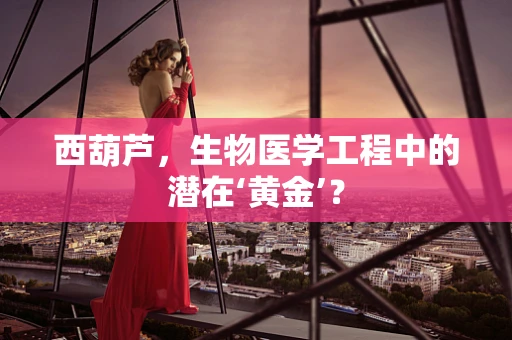 西葫芦，生物医学工程中的潜在‘黄金’？