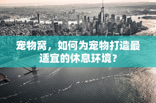 宠物窝，如何为宠物打造最适宜的休息环境？